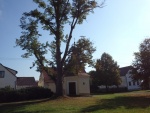 PA090027.JPG