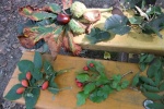1. Poznáváme podzimní plody
