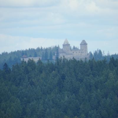 P8300023