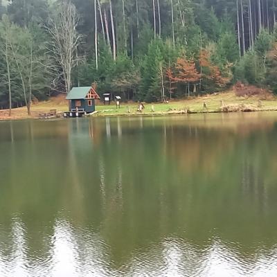 Vycházka Česká Kubice - Domažlice 13.12.2025