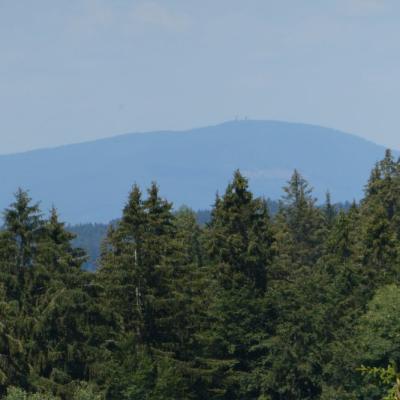 13zl