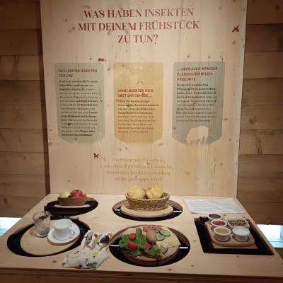 5expozicepotraviny