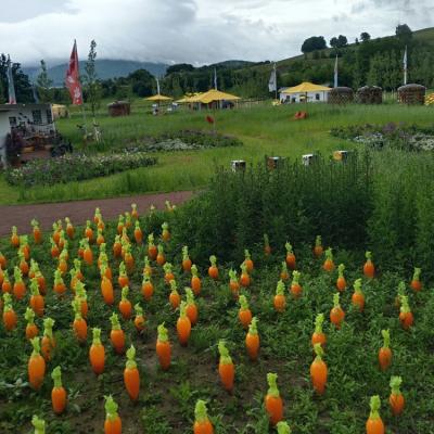 Návštěva Zemské zahradnické výstavy ve Furth im Wald 7.6.2025